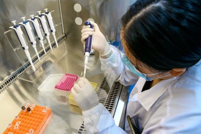 【直击引领区】服务细胞和基因治疗产业，这家第三方检测平台推出200个检测项目