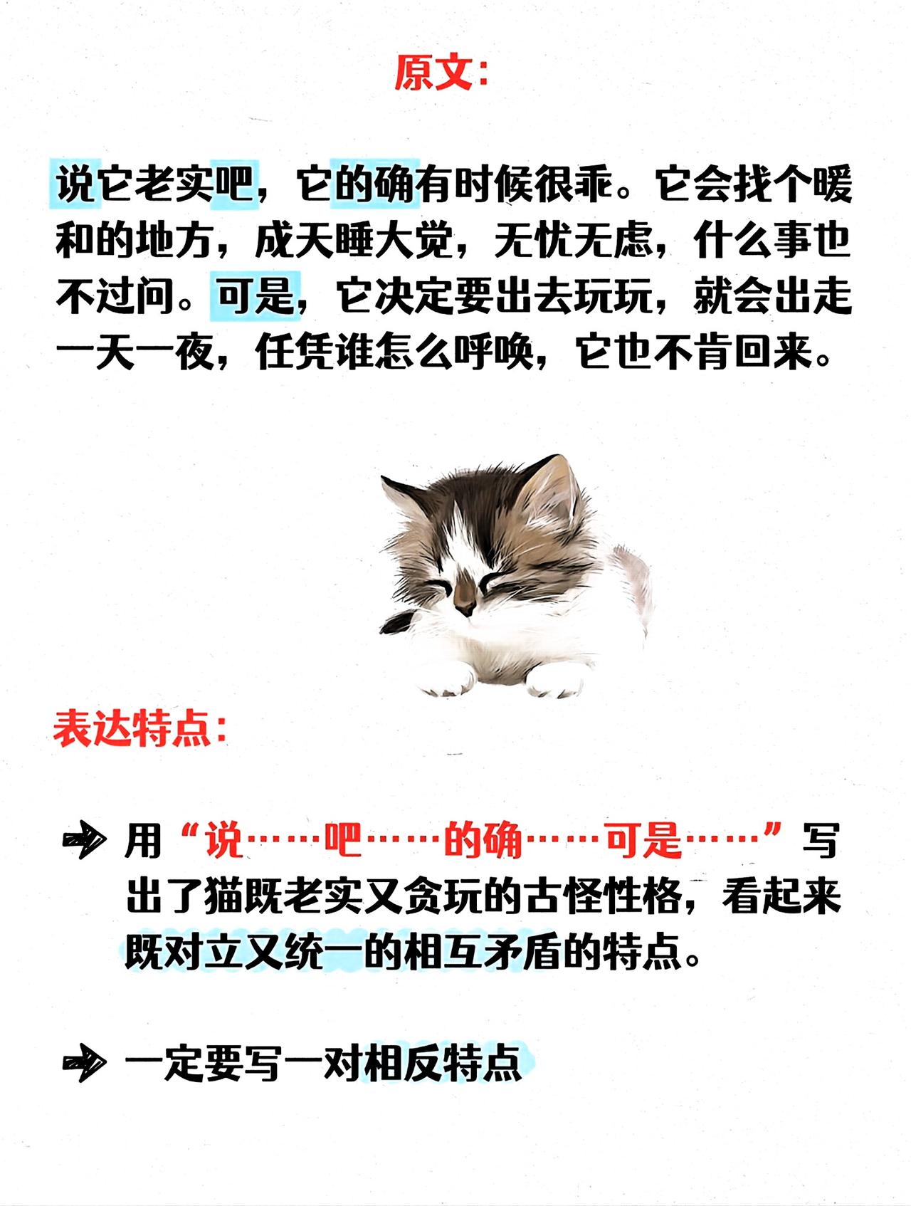 四年级下册语文，第四单元第13课《猫》课文仿写小练笔，收藏备用~四年级语文 仿写