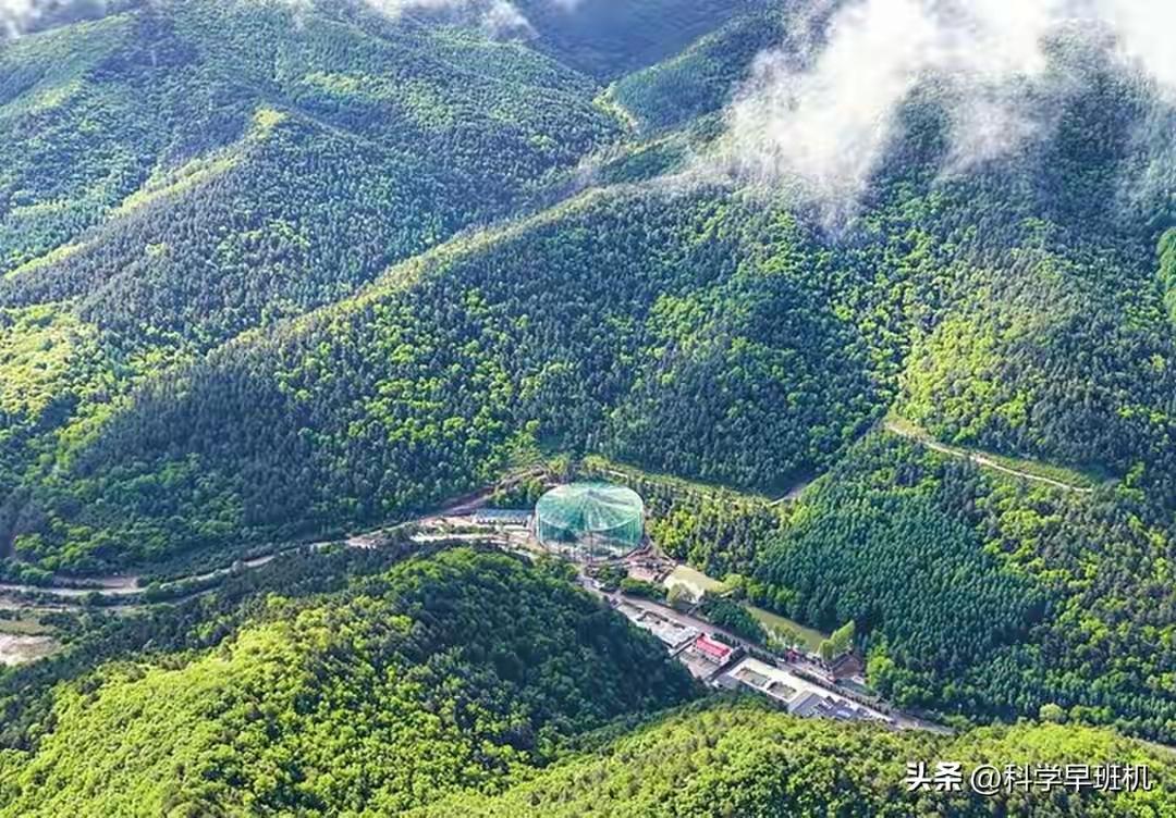 曾全球野生仅剩7只！极危国宝跨越660公里，在山西吕梁山正式“安家”
 
山西传