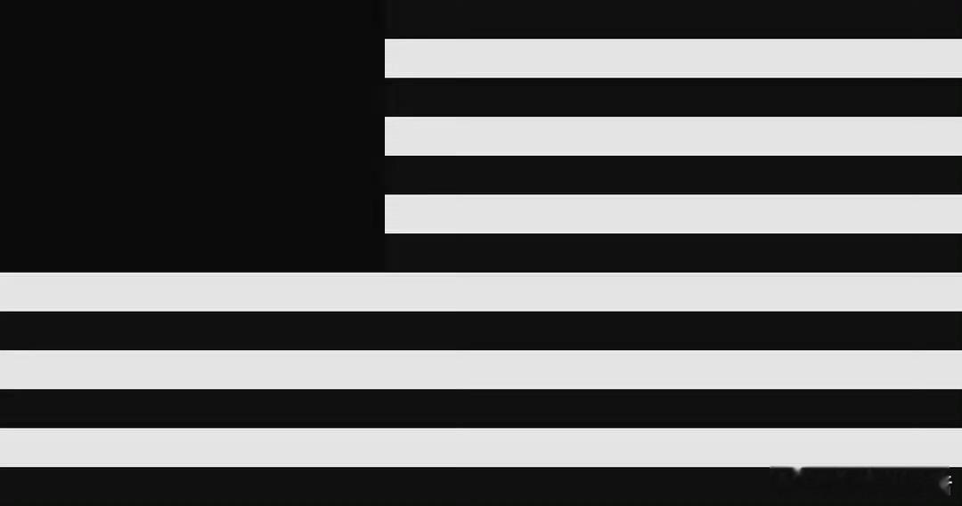 美国佬的新國旗… 