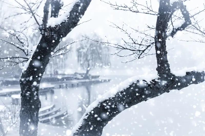 上联:花落春将尽，求下联雪飞冬又生