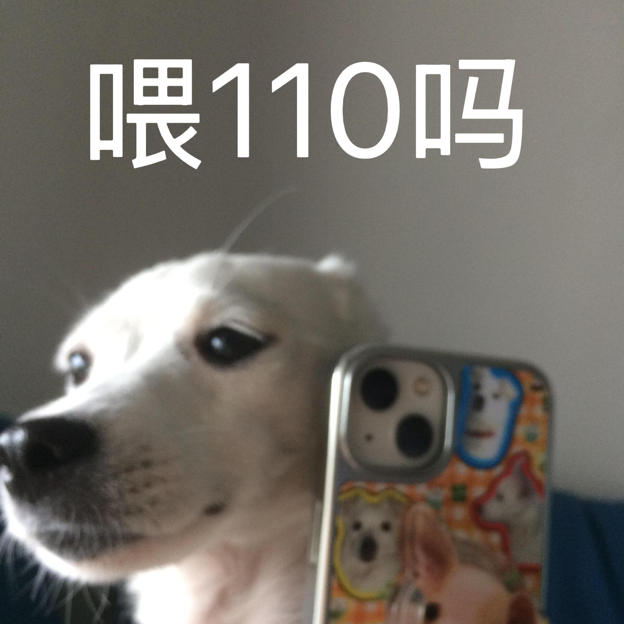 [淡淡的]很佩服作者愿意大过年的和男朋友以及男朋友爹妈一起去老家过年，甭管是去潮