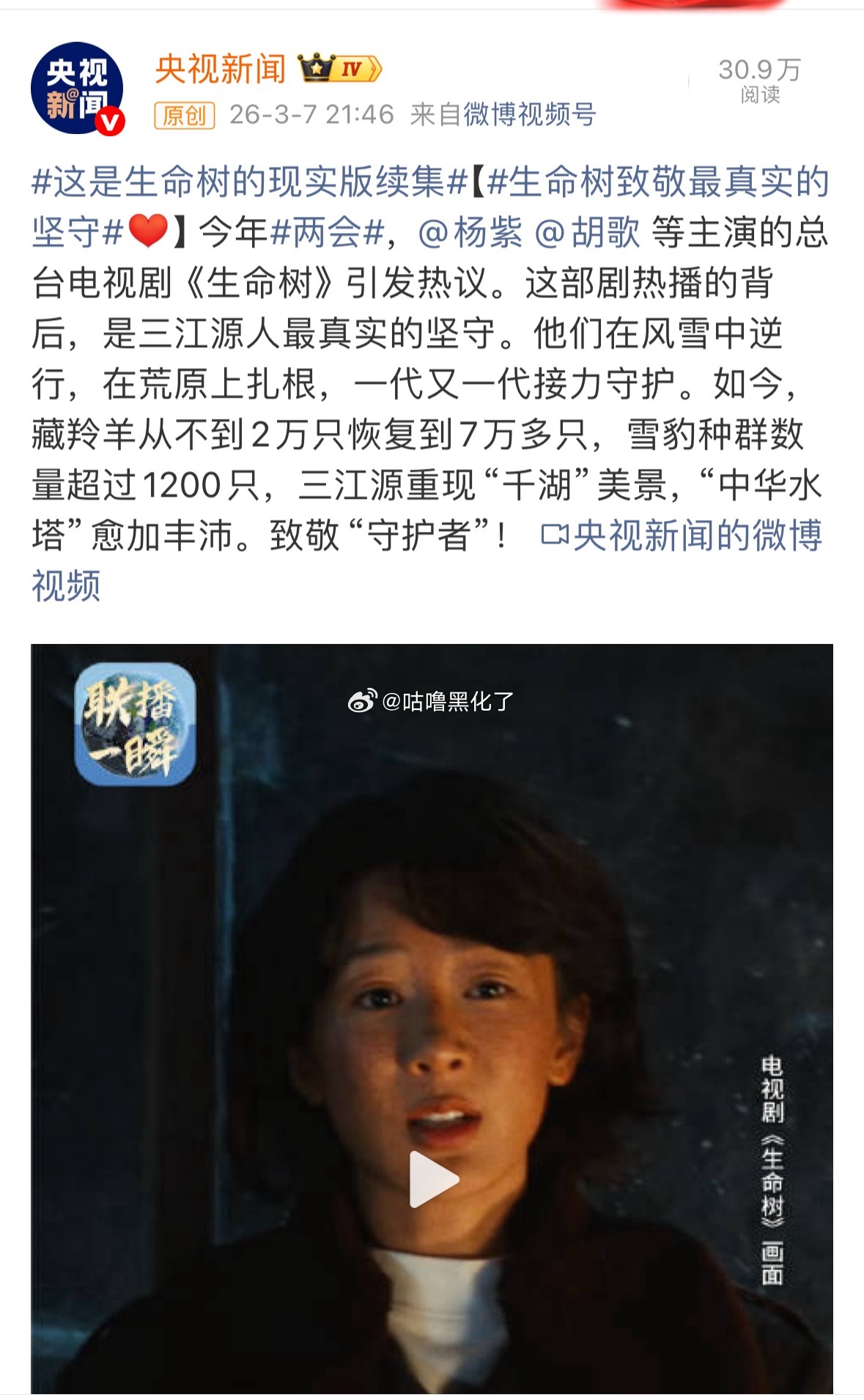 杨紫生命树持续破圈中，致敬守护者这是生命树的现实版续集