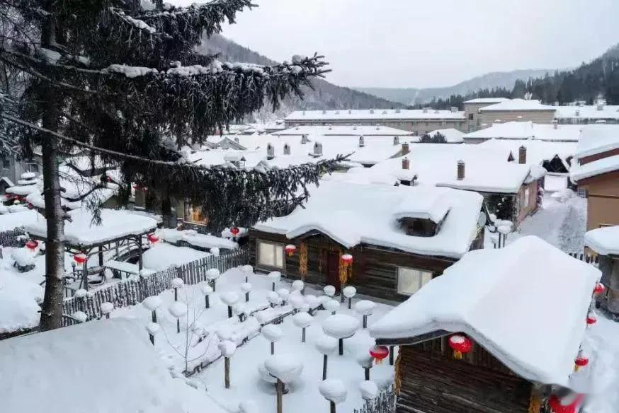 #冬日生活打卡季#
有博主爆料雪乡旅游团报价混乱，550元和1180元的套餐，行