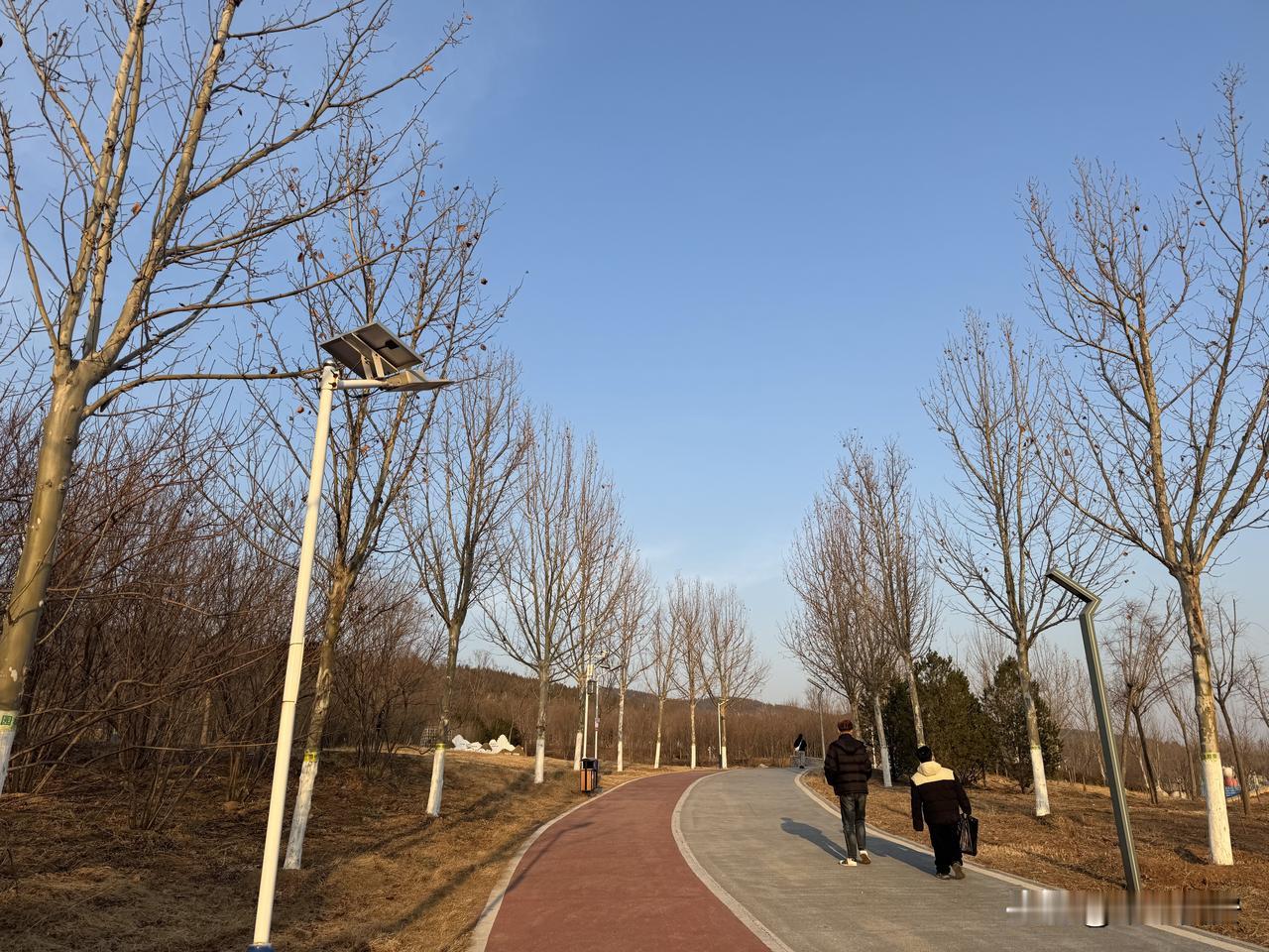 善良从不是廉价的讨好，也不是委屈自己的妥协，而是刻在骨子里的温柔与底线。它或许不