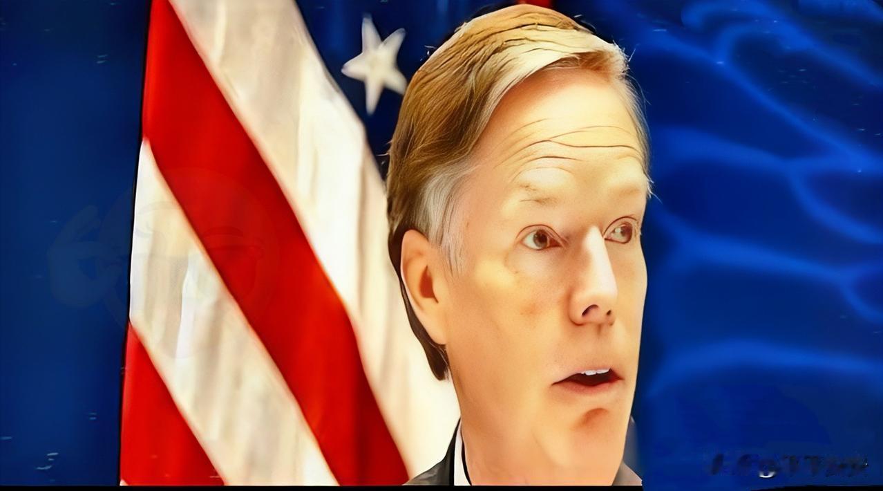 一位退休的美国大使曾经说过，有一个东方大国的官员曾经私下里感谢美国，说“谢谢你们