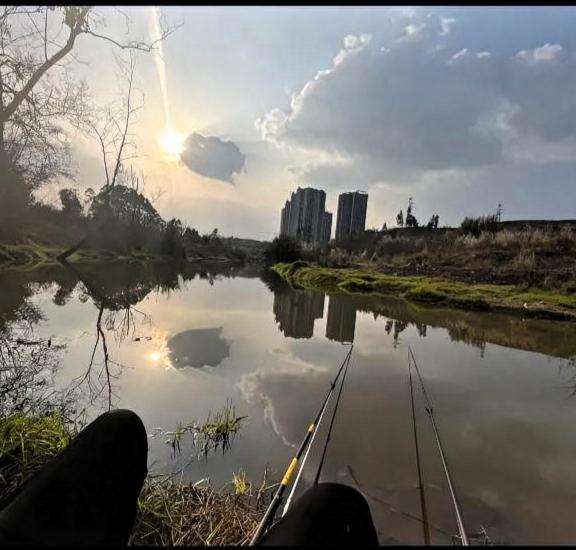 中午好，我这里有一幅上联，但没有好的下联搭配，正如好饭没有碗盛一样，打折扣。
上