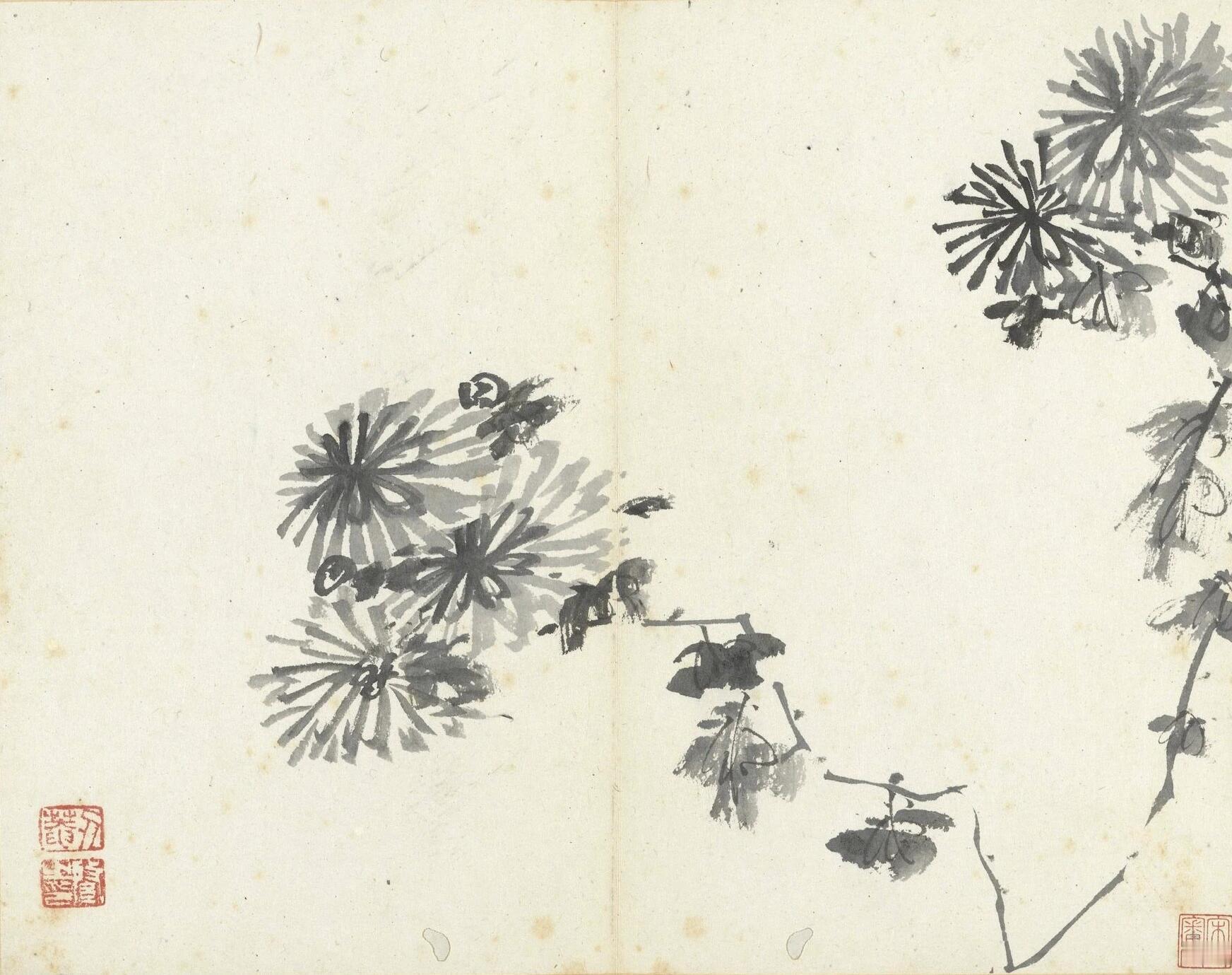 【《传綮写生册》｜八大山人存世最早的画册】-遇见艺术新城事