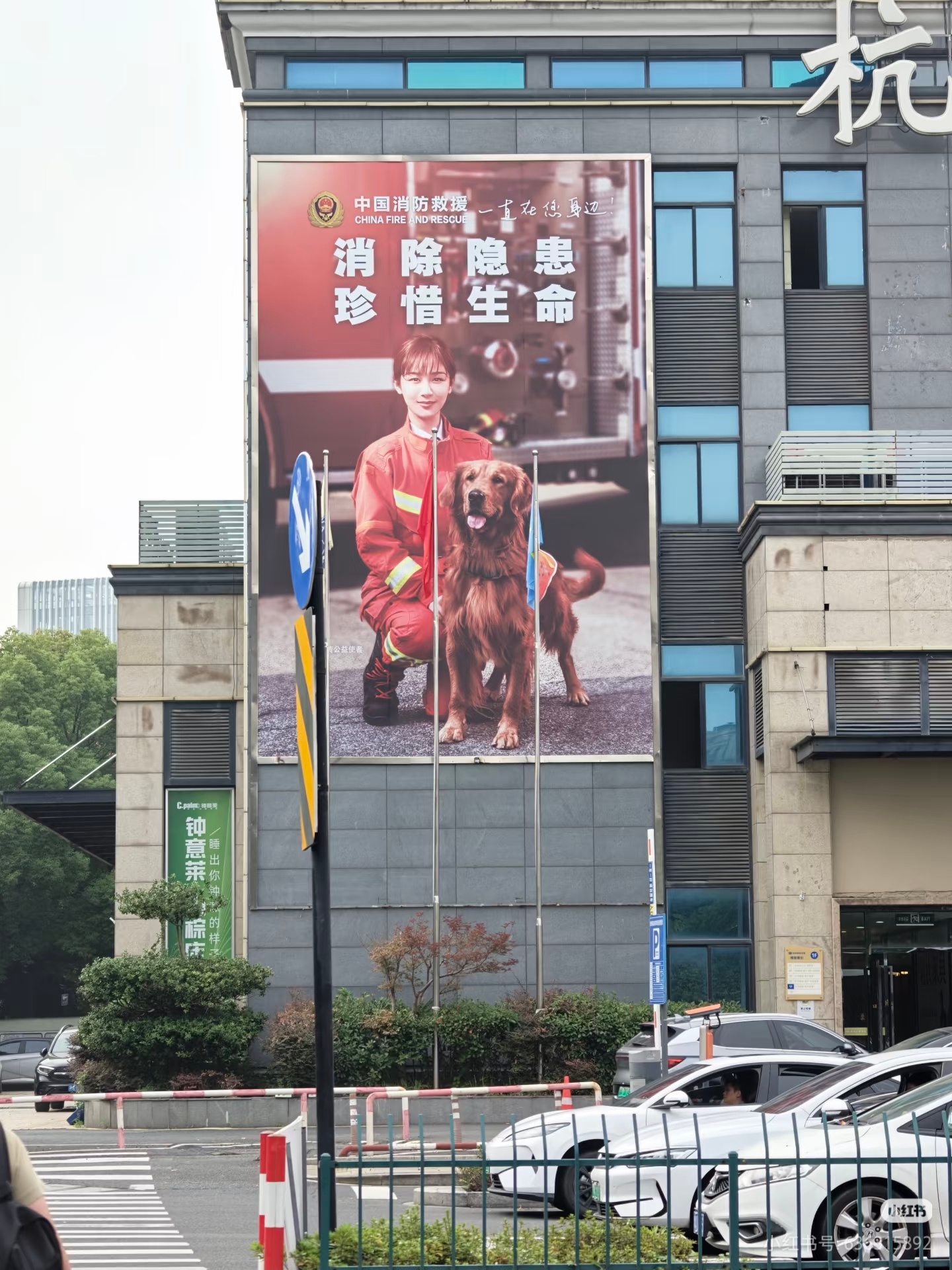 杨紫中国消防的“地广” ​​​