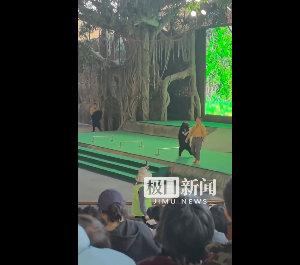 惊心！杭州动物园黑熊表演时扑倒饲养员，官方回应原因让人意外
 
12月6日下午，