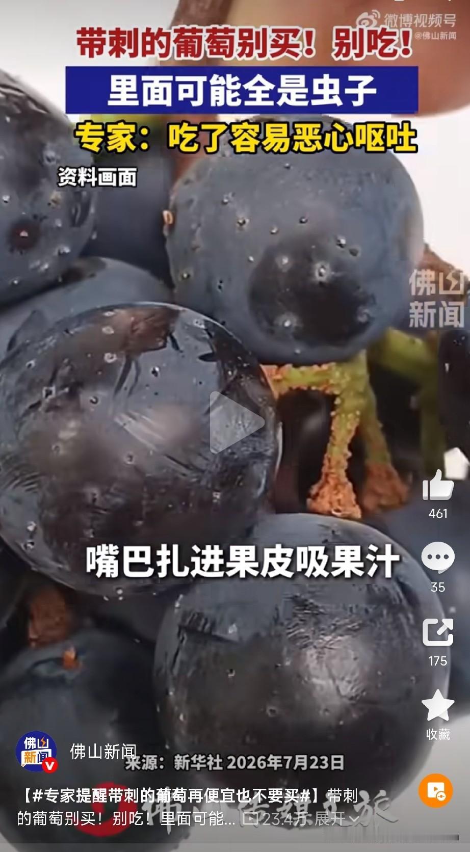 看到这种“带刺”的葡萄，千万别图便宜往家里买！

最近北京农学院植物保护系的王进