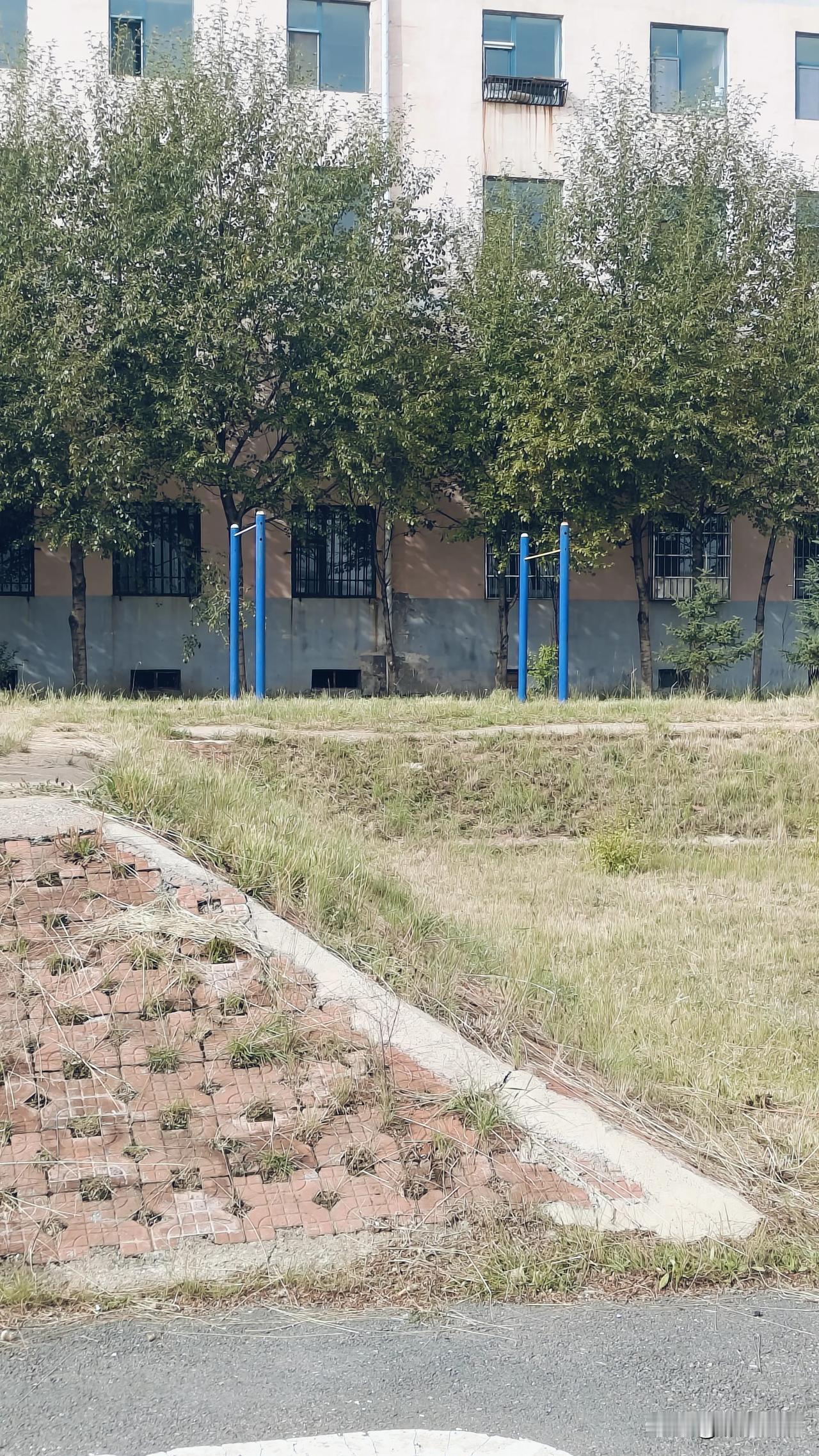 学校连个单杠都没有，这在临沂的学校是不可想象的！中考体育就是一个指挥棒！

这边