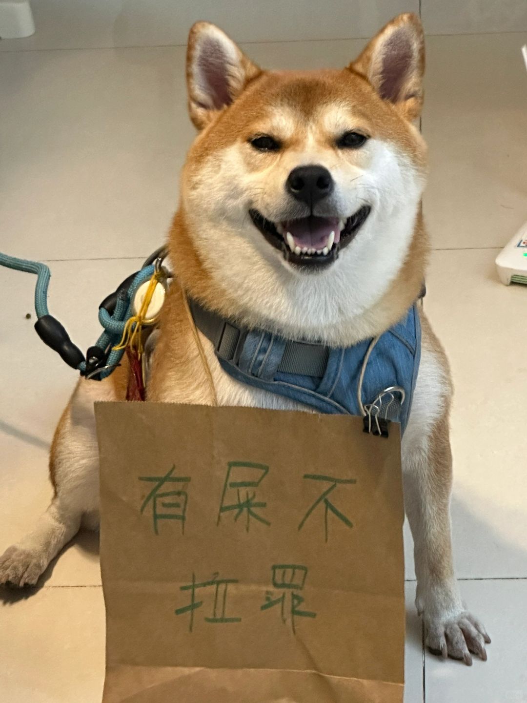 我要去狗群里网爆你