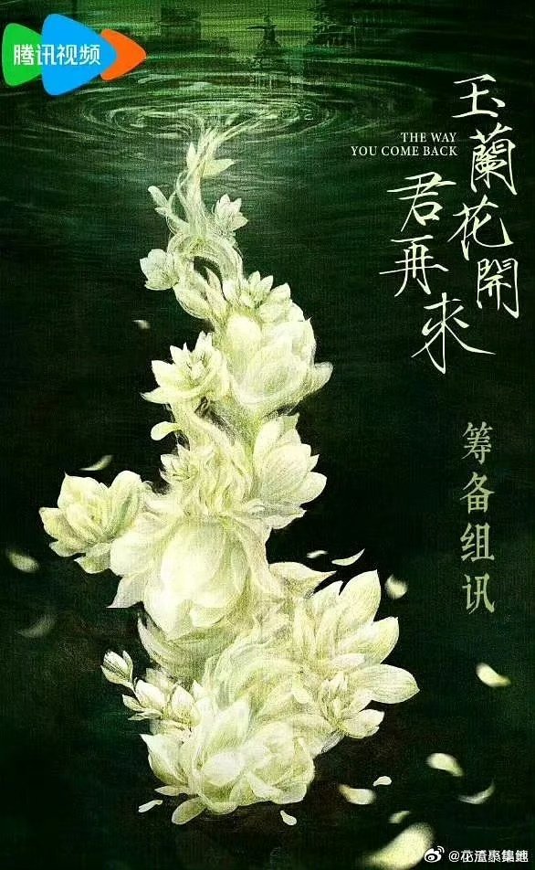 杨紫成毅玉兰花开君再来 dream一个二搭！网传杨紫成毅合作玉兰花开君再来 ​​