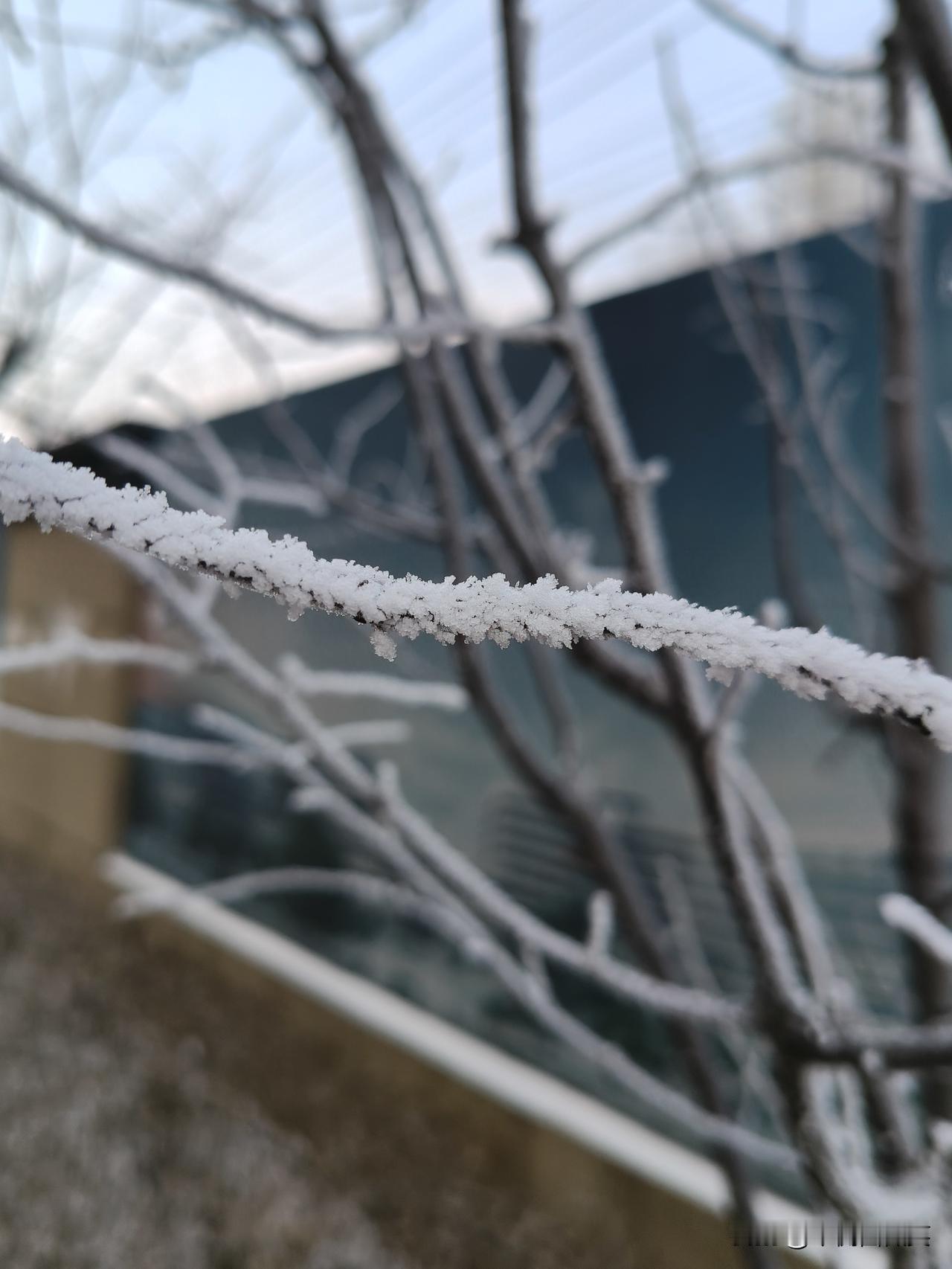 美不美你说的算