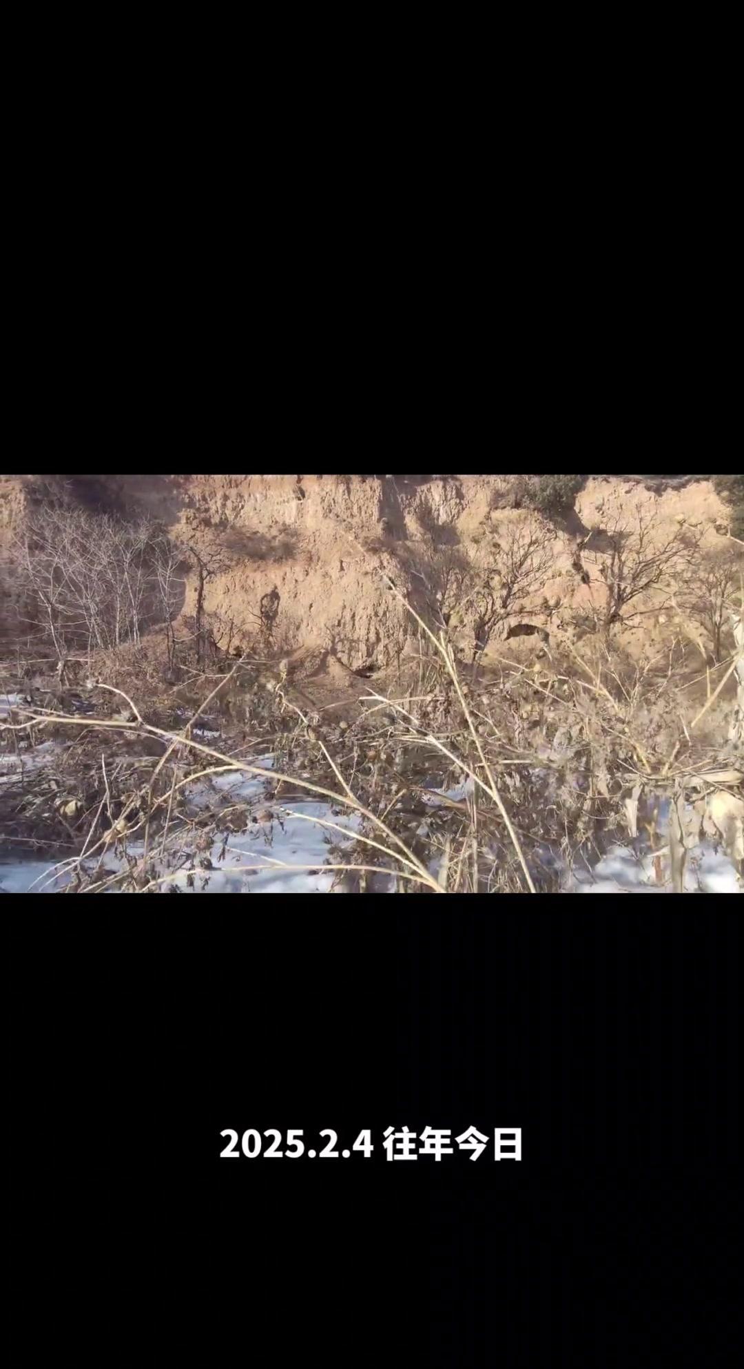 🌨️往年今日，黄土塬被皑皑白雪覆盖，像铺了一层厚厚的棉被。沟壑纵横的塬面在雪的