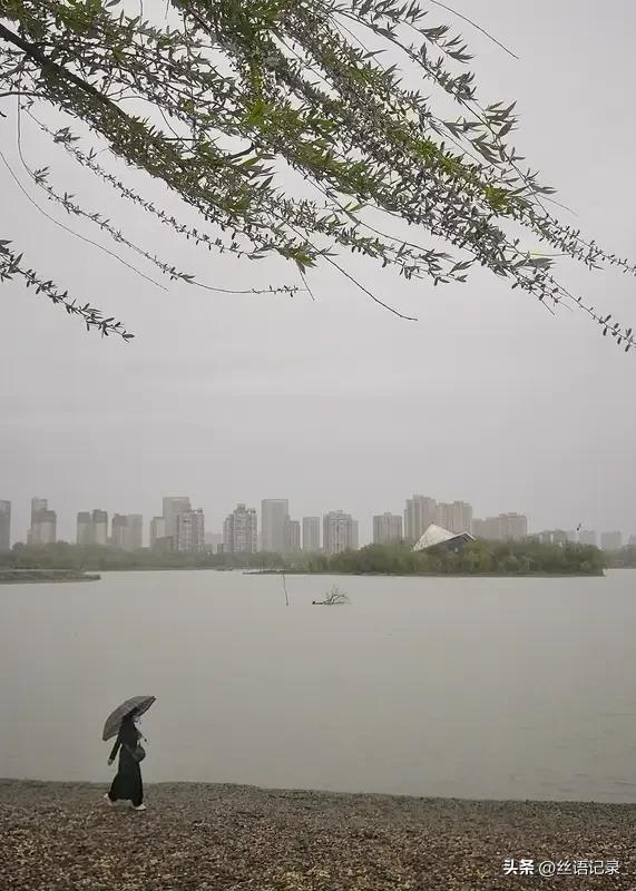 午饭后
淋雨去上班
下班后
淋雨回家
在风雨里走一走
真凉爽
人总要经历一些风雨