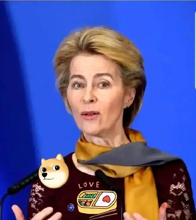 欧盟又放了个大消息！
11月26日，冯德莱恩在欧洲议会说，要动用冻结的俄罗斯资产