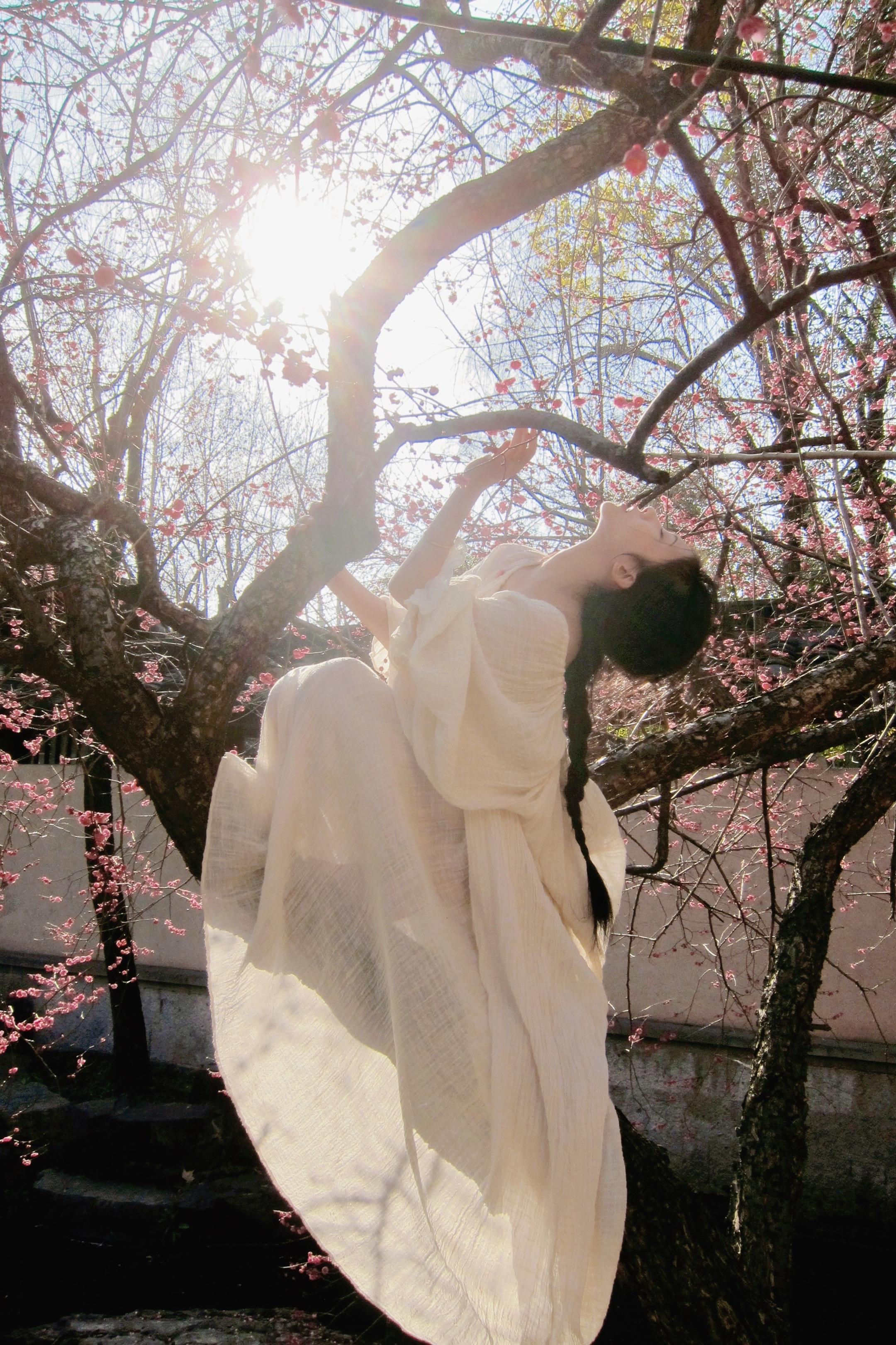 宁可枝头抱香死