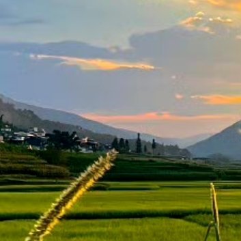 阳光信用‎阳光‎信用 ‎每日一善 心有阳光的人，不但能给身边的人带去温暖，同时，