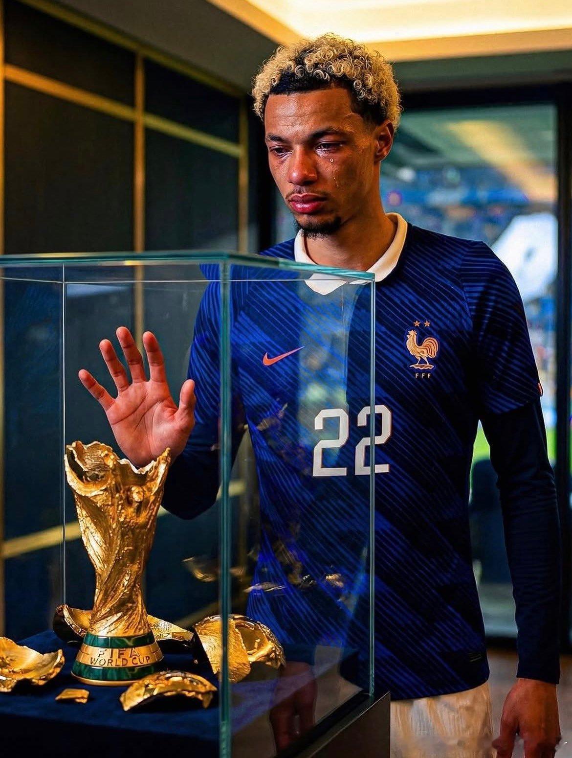 现在想想法棍没能参加世界杯真的是太遗憾了法国3比0瑞典世界杯