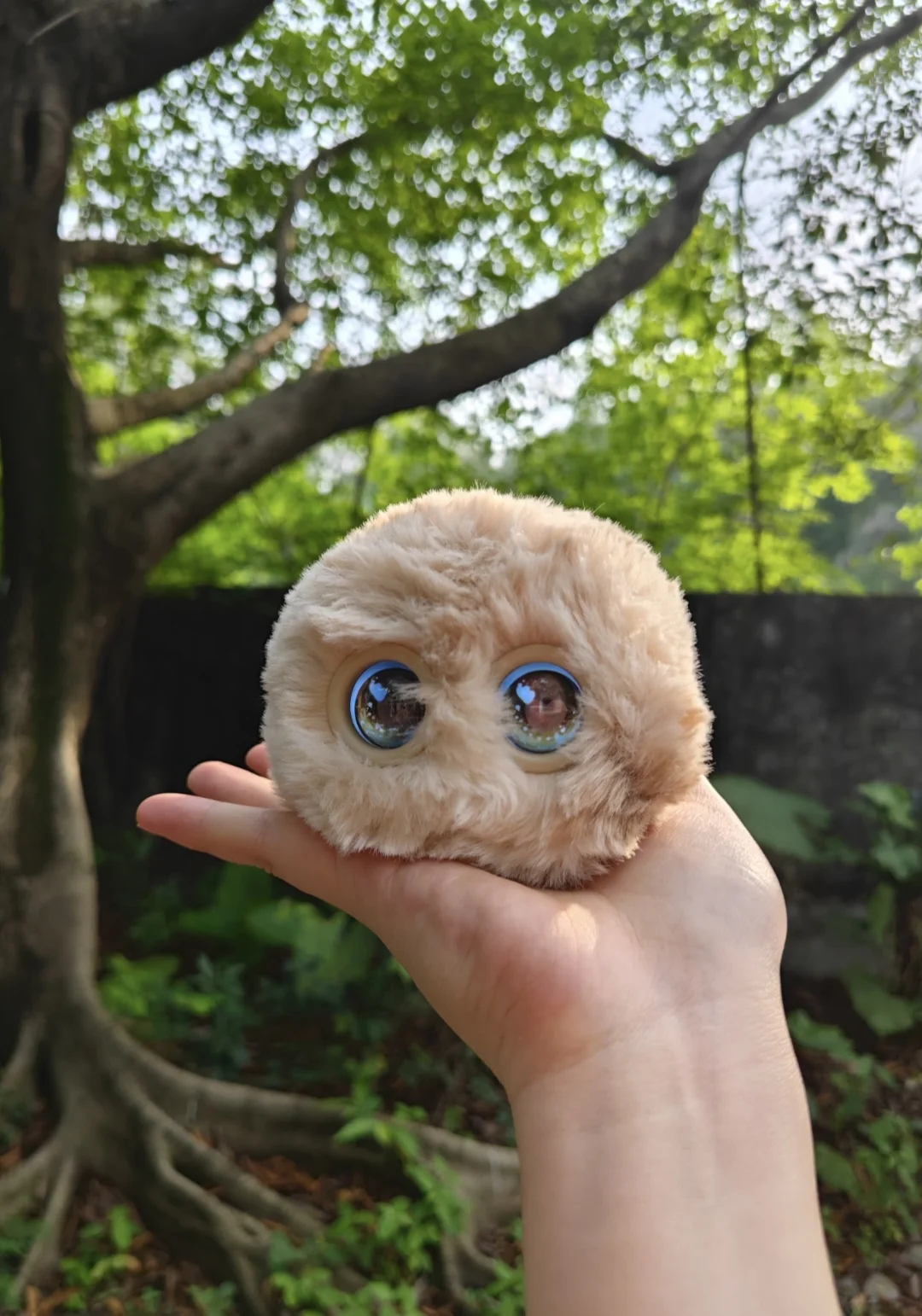 今日份治愈暴击，电子宠物价值体现