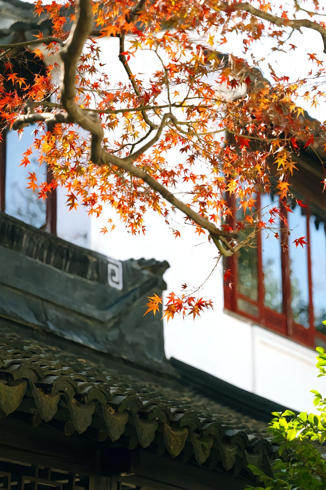 任何一场战争，如果你不出动地面军队的话，都没有办法打败对手。因为你导弹袭击的时候