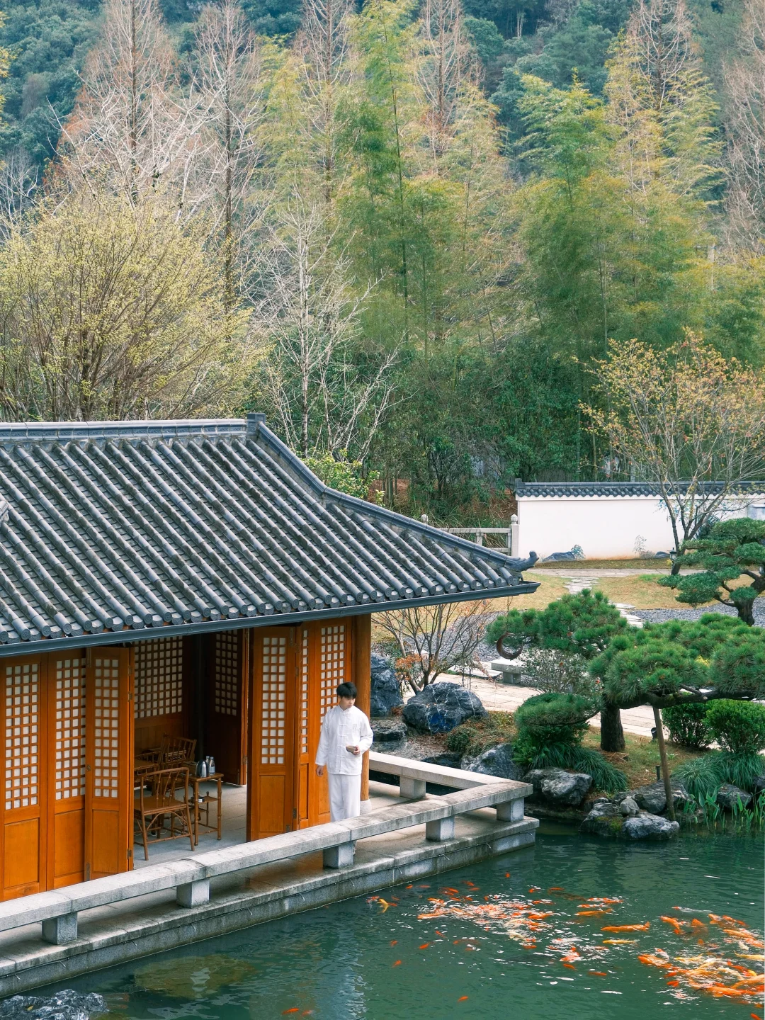 武夷山小众茶庄园，感受烟雨茶香里的慢生活