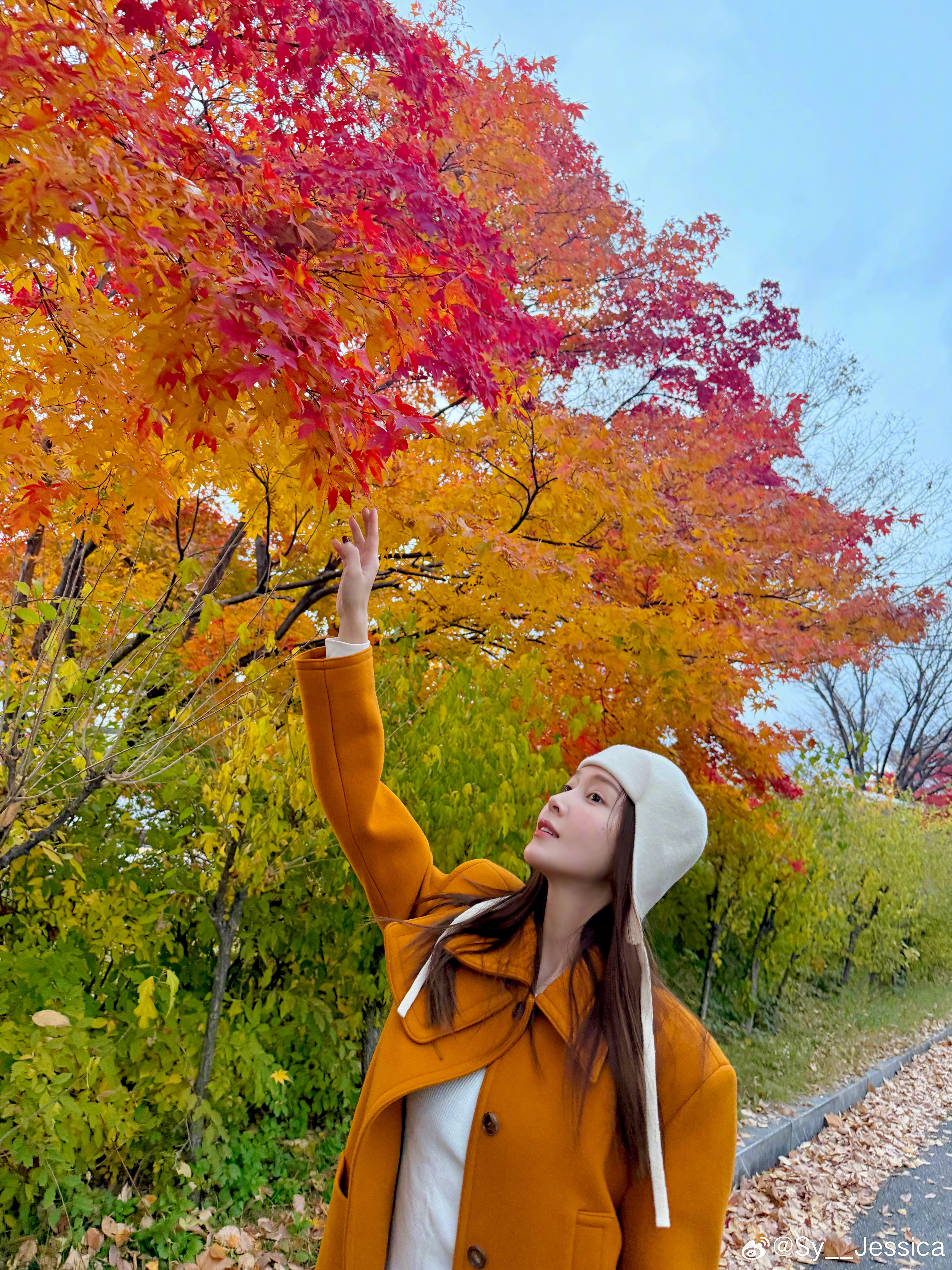 Golden hours, golden hues🍁🍂🧡很想我的Golde