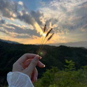 聪明的云朵