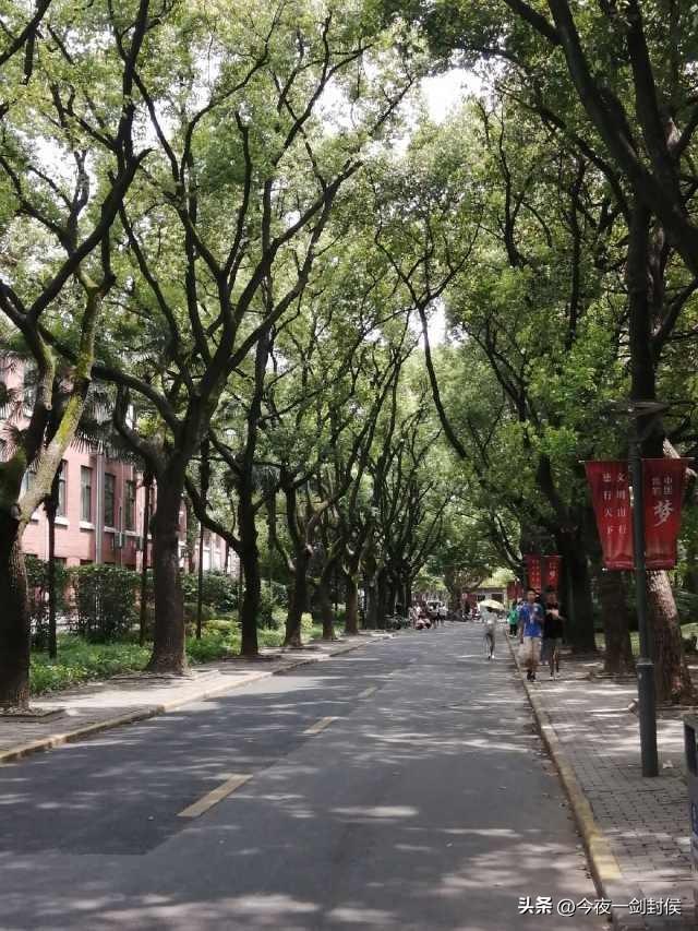 儿子学校对面有很多租房的，里面有人从事一种特殊的职业，就是代替学生打卡。
特别是