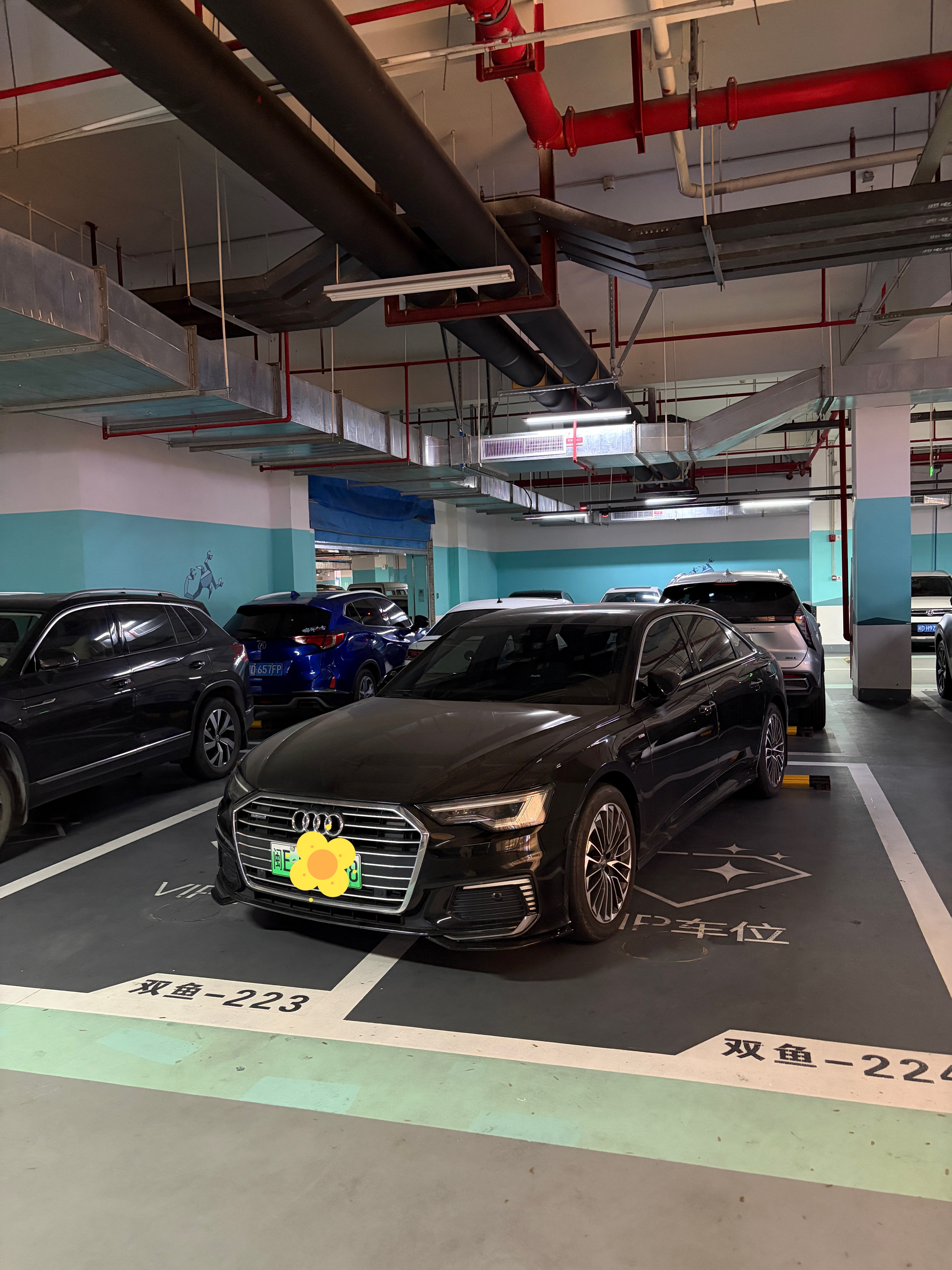 素质好不好，还真不是看品牌，是看人[柯基] ​​​