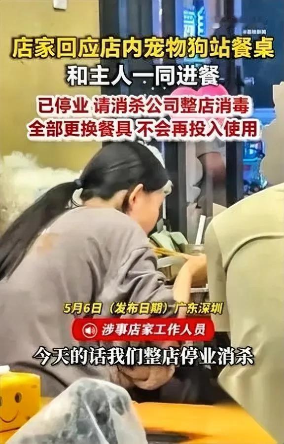 带狗下馆子

你遇见过吗

居然有人拿饭店公盘给狗舔？

过去五个月全国至少七家
