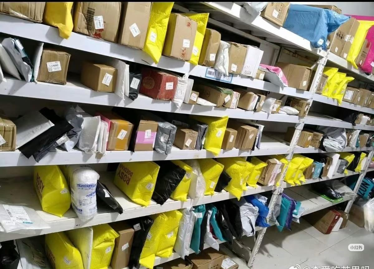 露儿的校园统治力 