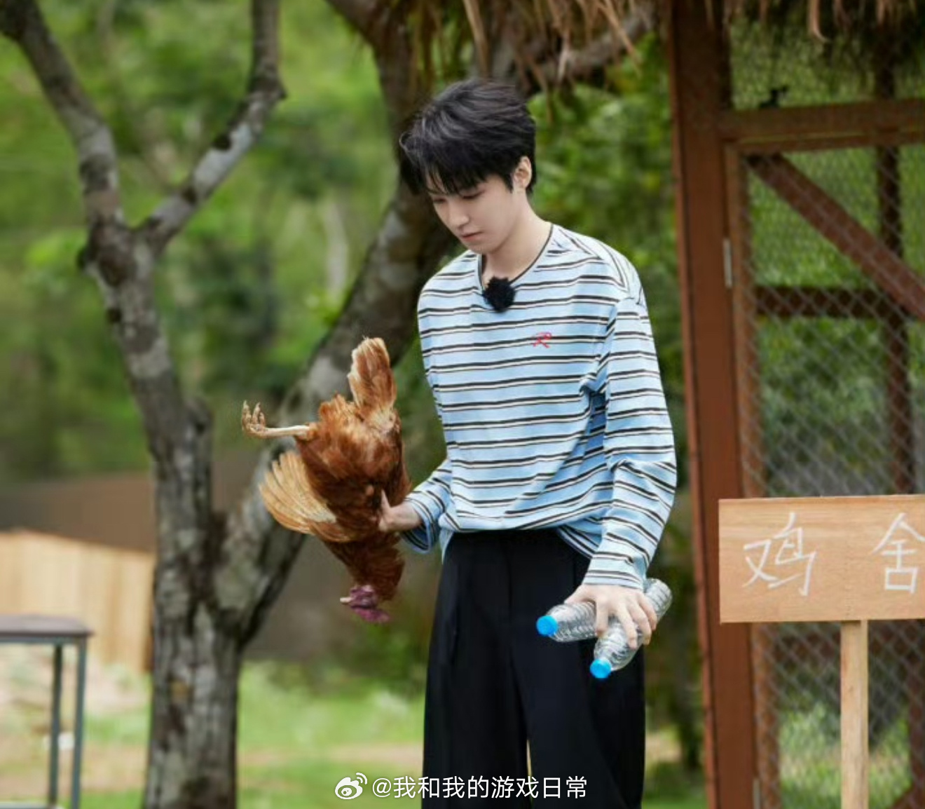 王俊凯的小鸡被霸凌去世了谁能get到这个笑点！偷偷在小红书开小号发帖，焦急询问自