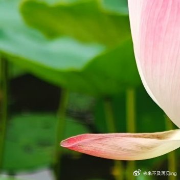 每日一善每日‬一善 阳光信用  心善，是一种美德，人善，是一种修养，真善，是一种