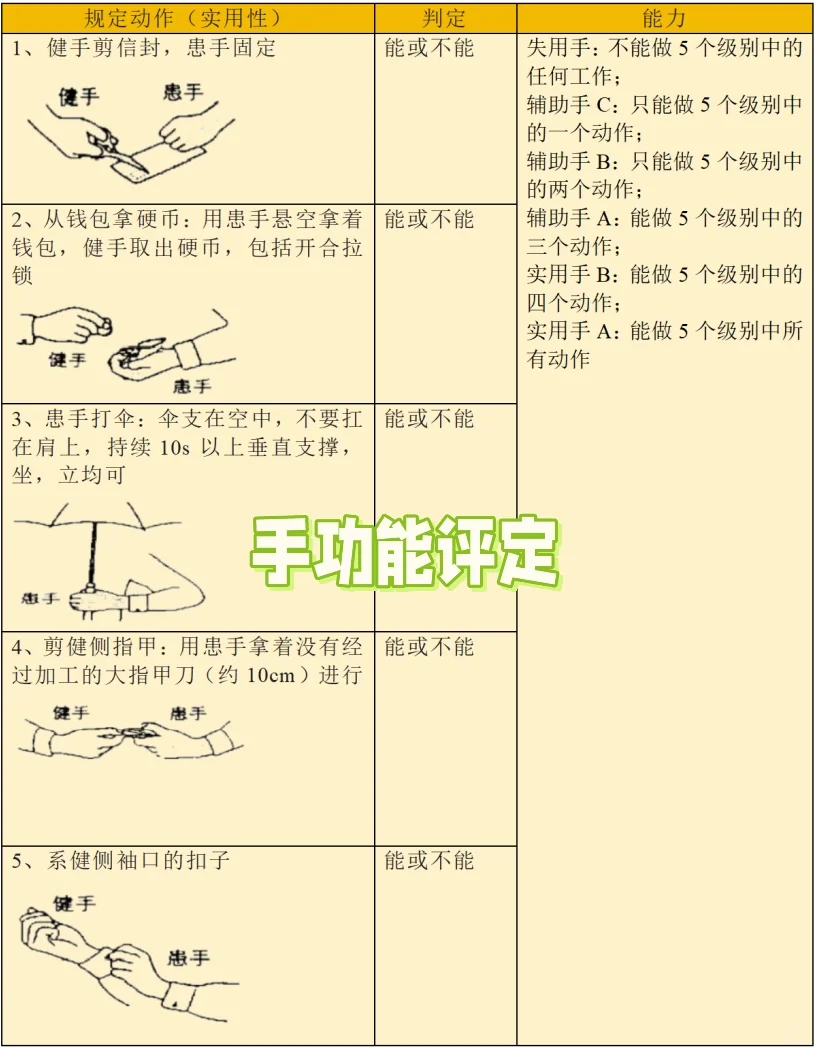 手功能评定