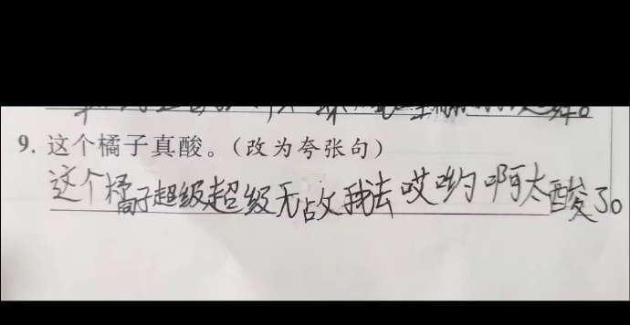 人类幼崽作业集锦 ​​​