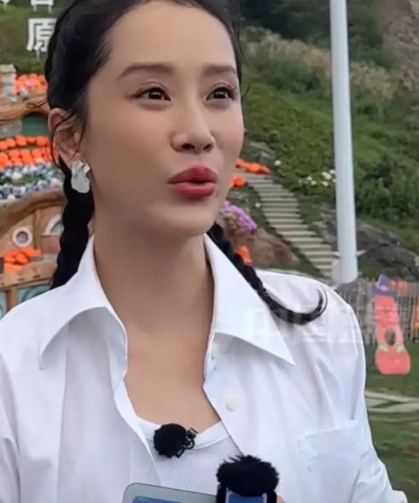海清不整容也挺好看的，不明白为什么整容。她以前那种自然美挺好看的。 哪里需要整容