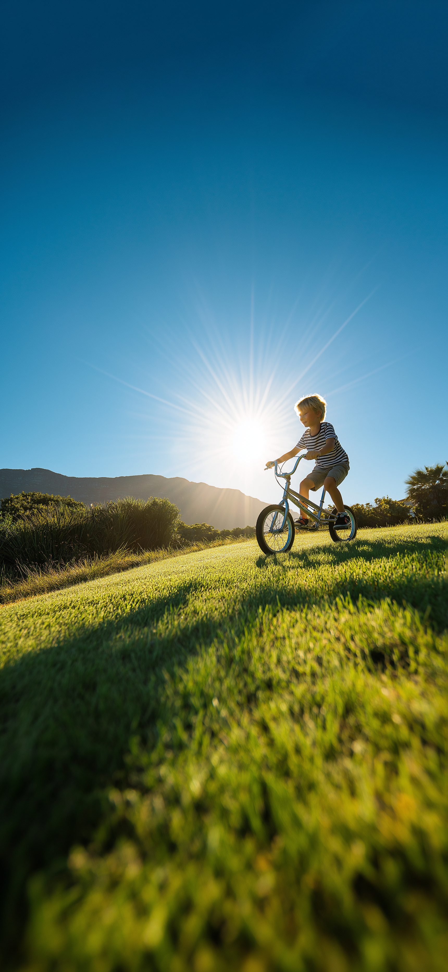 莱分享 今日 iPhone 壁纸分享 