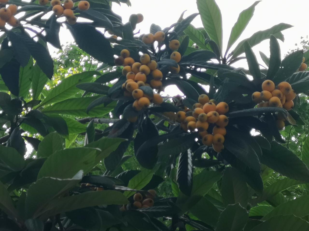 我认为越多越好，朋友多了路好走，这一句话一点也不假！广交好友，走到哪里，都是热闹