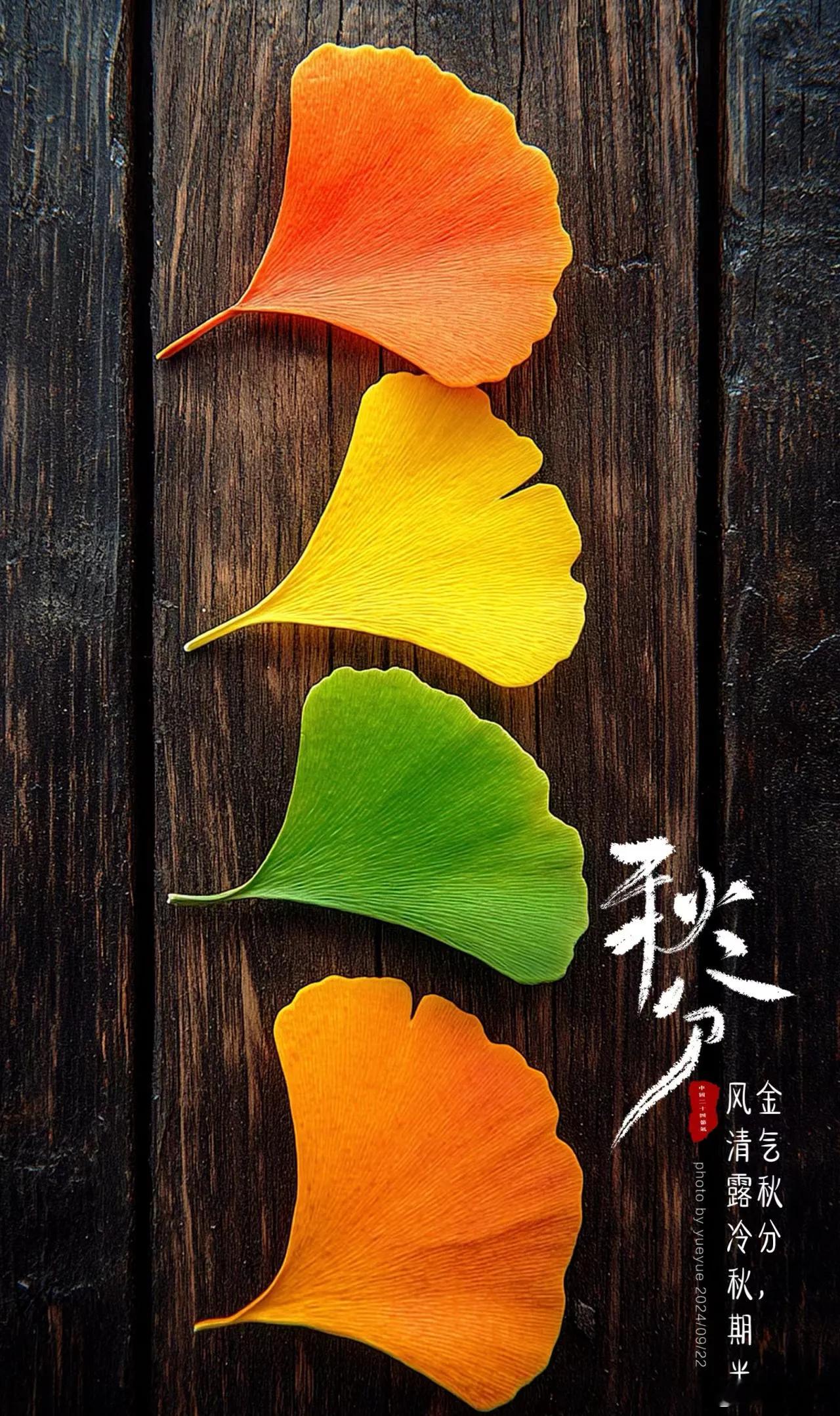 一年一度秋风劲，不似春光。胜似春光，寥廓江天万里霜。 ​​​