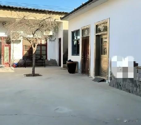 河南长葛一八旬老夫妻的小院干净、明亮，老爷子今年已经88岁了，老伴今年84岁，院