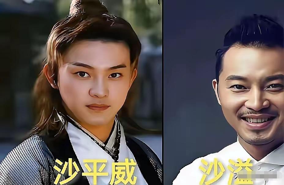 沙溢扮演的沙平威
刘培清扮演的刘若谦
崔奕扮演的小喜
三位实力派演员，在《上错花