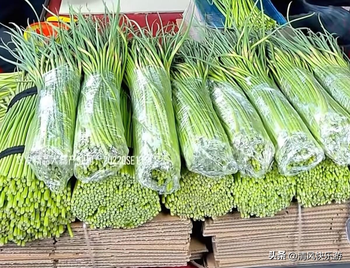 一个人在家做电商的辛苦谁能懂，天天爆单，没菜做饭的时间都没有，只能就地取材，吃自