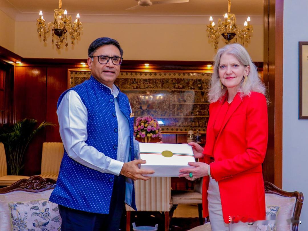 《印刷报》《印度斯坦时报》12月9日报道，美国副国务卿艾莉森·胡克（Alliso