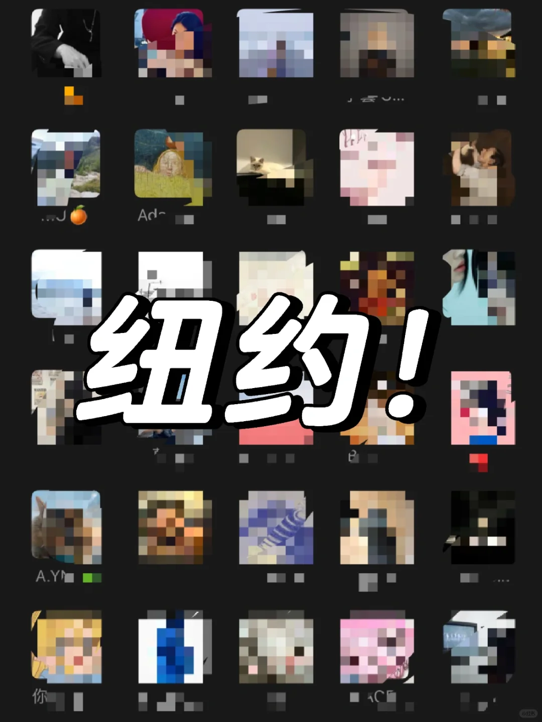 🧑‍🎨 纽约 寻找对艺术感兴趣的小伙伴😡