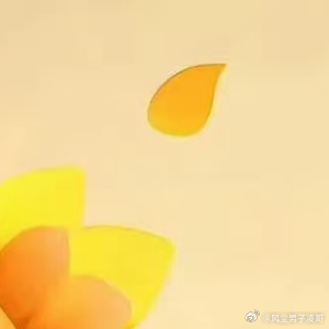 阳光信用  心存阳光，必见美好，让喜爱之事成为生活主调，不问东西南北，顺着心意奔