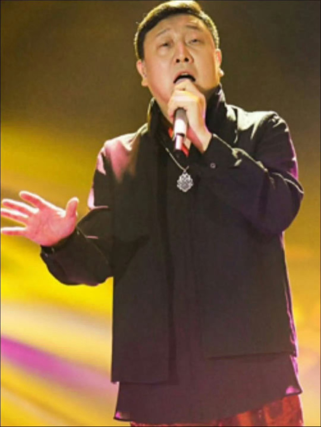 韩磊塌房 升级婶子赛道 韩磊？那个唱歌的韩磊？不会吧！会不会又是某些人的小作文造