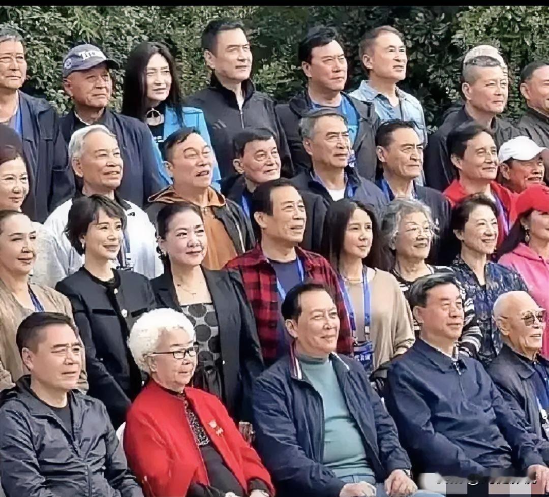 后排就认得出老戏骨林芳兵、卢君。第三排有老戏骨金鑫、王伯昭。第二排有宋春丽，沈丹